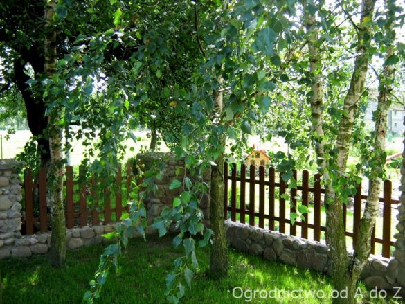 Architektura ogrodowa