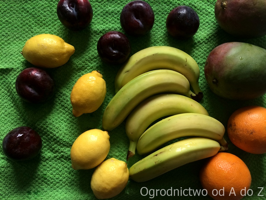 Jak usunąć pestycydy z warzyw i owoców 