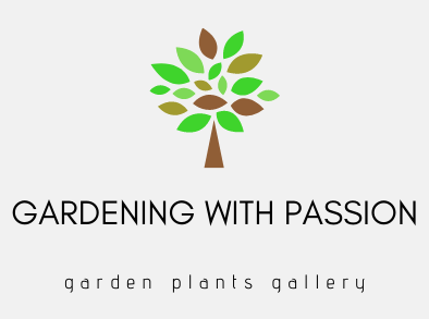 gardening with passion 